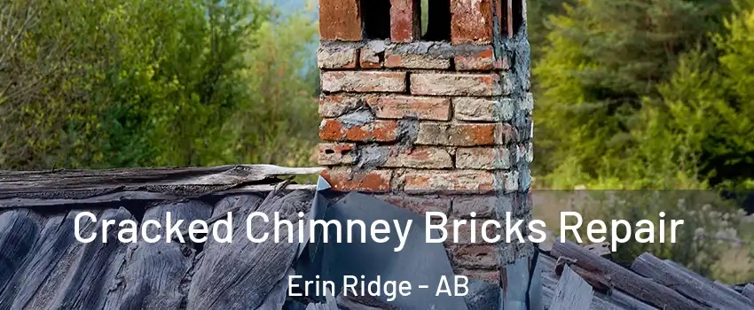  Cracked Chimney Bricks Repair Erin Ridge - AB