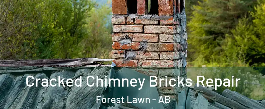  Cracked Chimney Bricks Repair Forest Lawn - AB