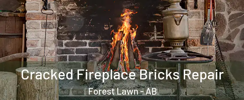  Cracked Fireplace Bricks Repair Forest Lawn - AB