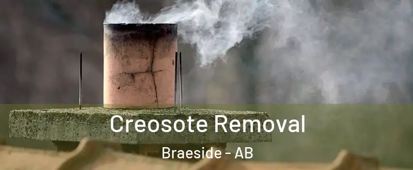  Creosote Removal Braeside - AB