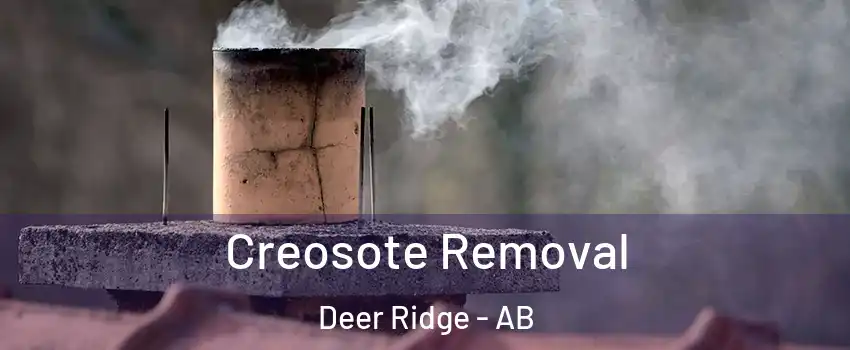  Creosote Removal Deer Ridge - AB