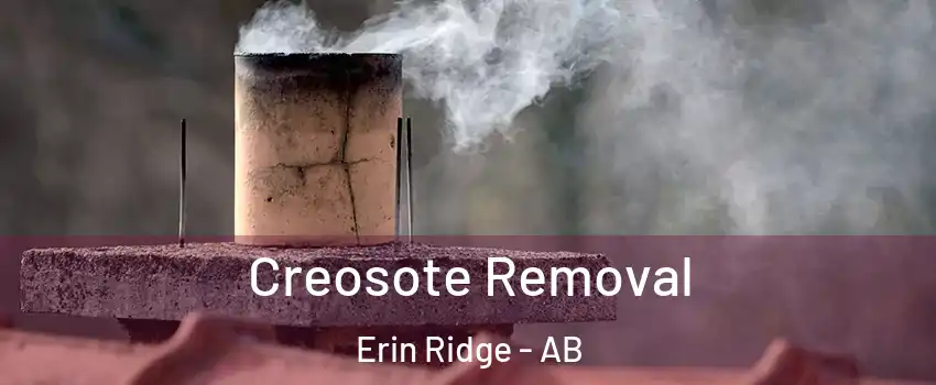  Creosote Removal Erin Ridge - AB