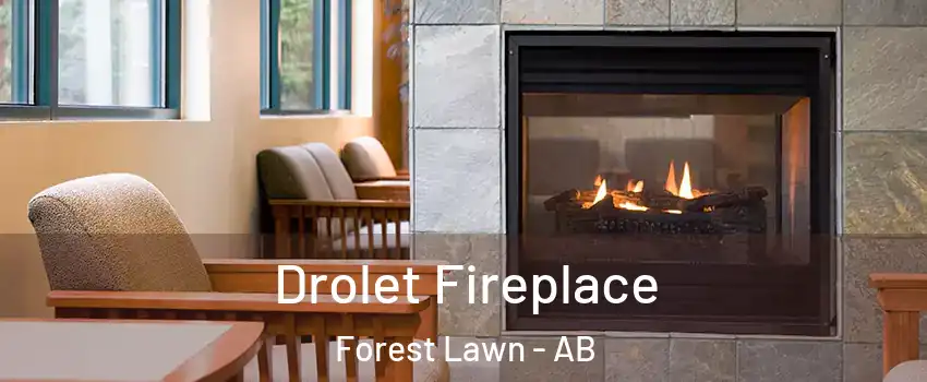  Drolet Fireplace Forest Lawn - AB