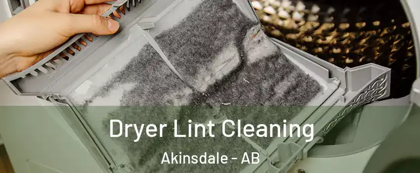  Dryer Lint Cleaning Akinsdale - AB