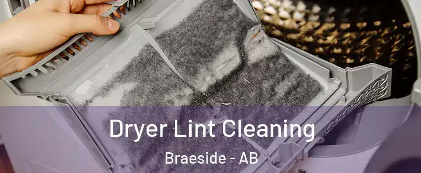 Dryer Lint Cleaning Braeside - AB