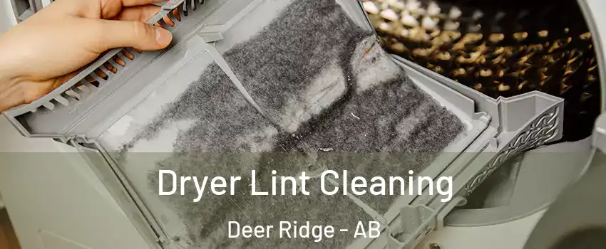  Dryer Lint Cleaning Deer Ridge - AB