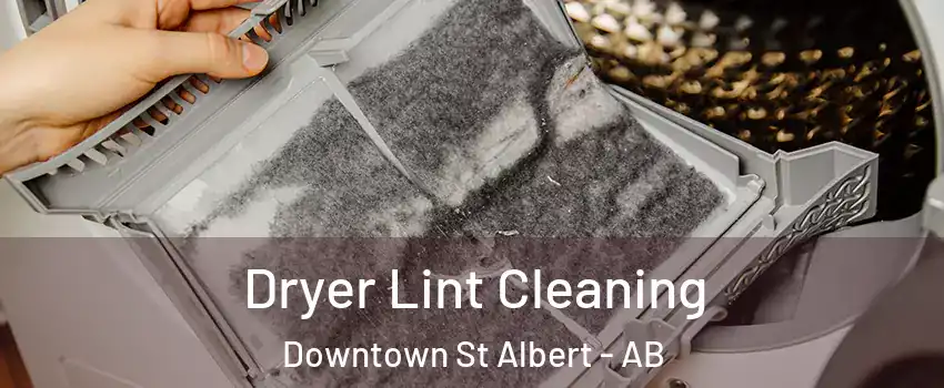  Dryer Lint Cleaning Downtown St Albert - AB
