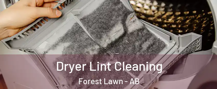  Dryer Lint Cleaning Forest Lawn - AB