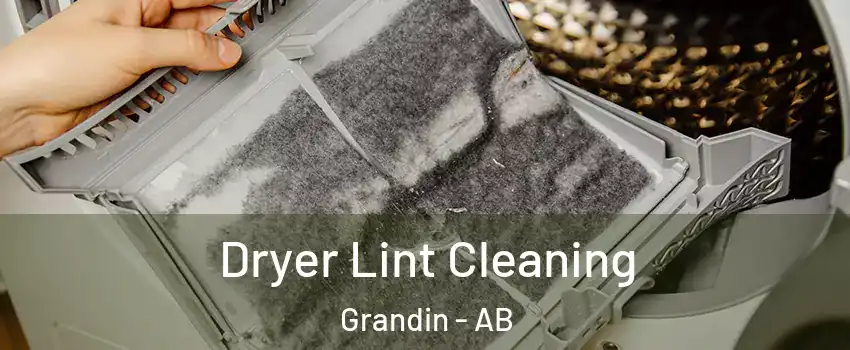  Dryer Lint Cleaning Grandin - AB