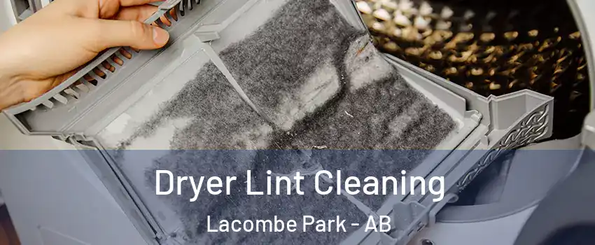  Dryer Lint Cleaning Lacombe Park - AB