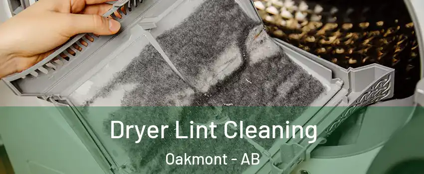  Dryer Lint Cleaning Oakmont - AB