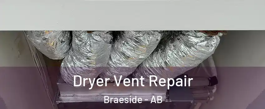  Dryer Vent Repair Braeside - AB
