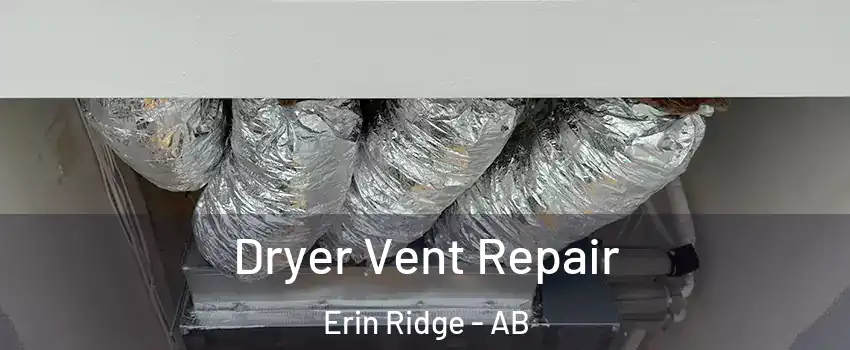  Dryer Vent Repair Erin Ridge - AB