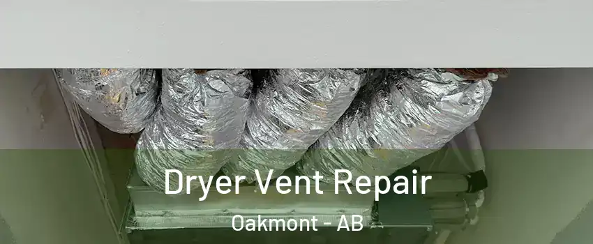  Dryer Vent Repair Oakmont - AB
