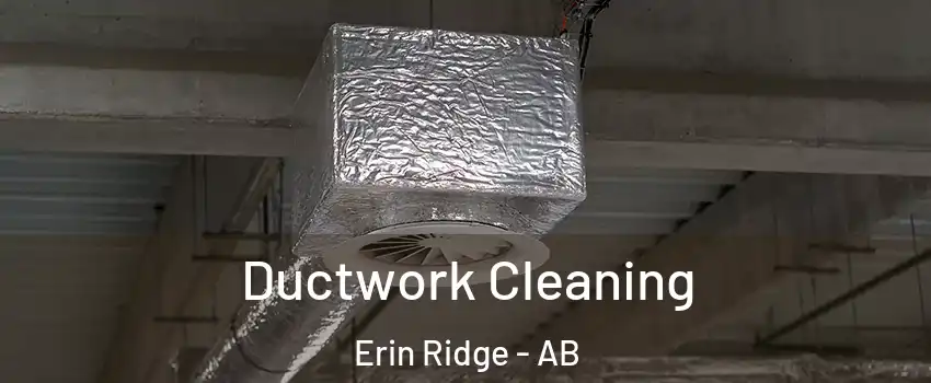  Ductwork Cleaning Erin Ridge - AB