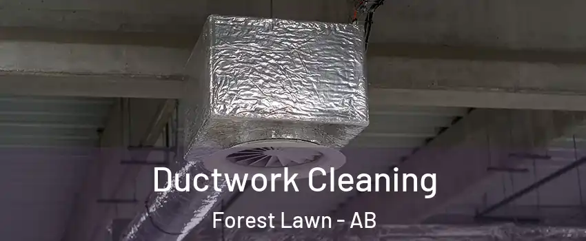  Ductwork Cleaning Forest Lawn - AB