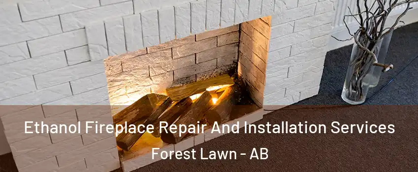  Ethanol Fireplace Repair And Installation Services Forest Lawn - AB
