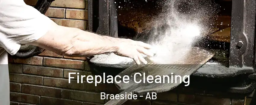  Fireplace Cleaning Braeside - AB