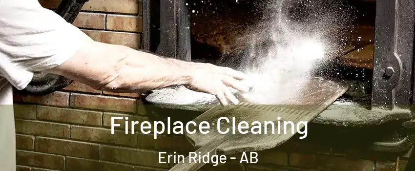  Fireplace Cleaning Erin Ridge - AB