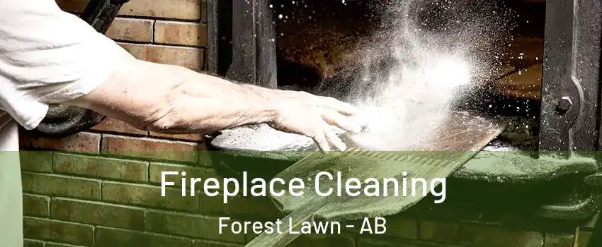  Fireplace Cleaning Forest Lawn - AB