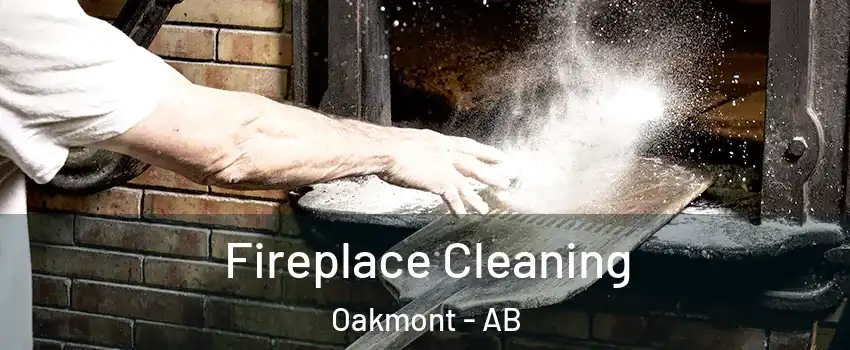 Fireplace Cleaning Oakmont - AB
