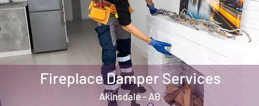  Fireplace Damper Services Akinsdale - AB