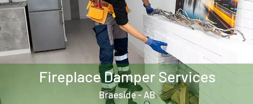  Fireplace Damper Services Braeside - AB
