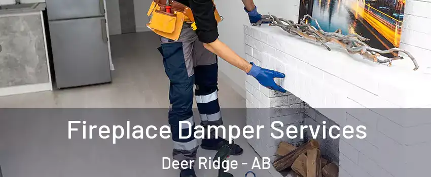  Fireplace Damper Services Deer Ridge - AB