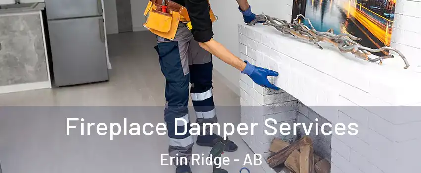 Fireplace Damper Services Erin Ridge - AB