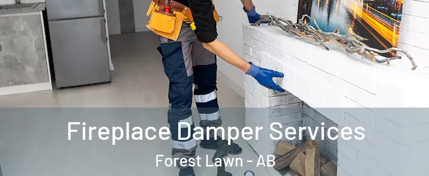  Fireplace Damper Services Forest Lawn - AB
