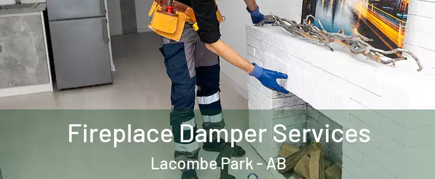  Fireplace Damper Services Lacombe Park - AB