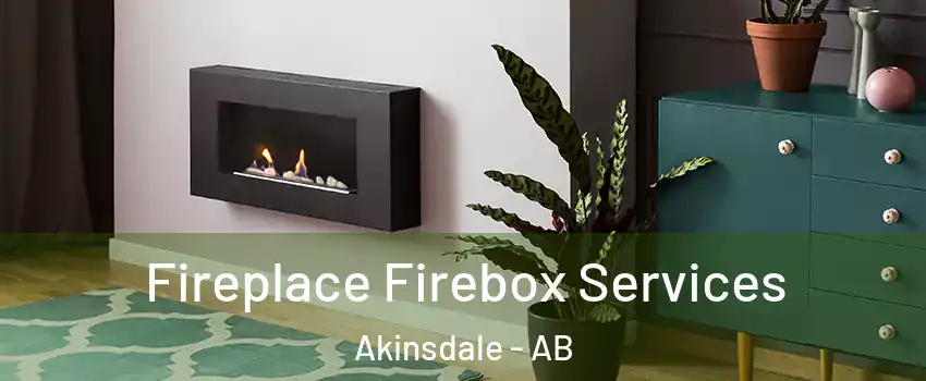  Fireplace Firebox Services Akinsdale - AB