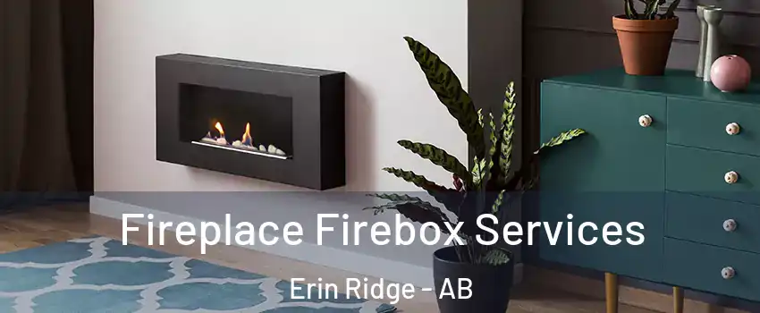  Fireplace Firebox Services Erin Ridge - AB