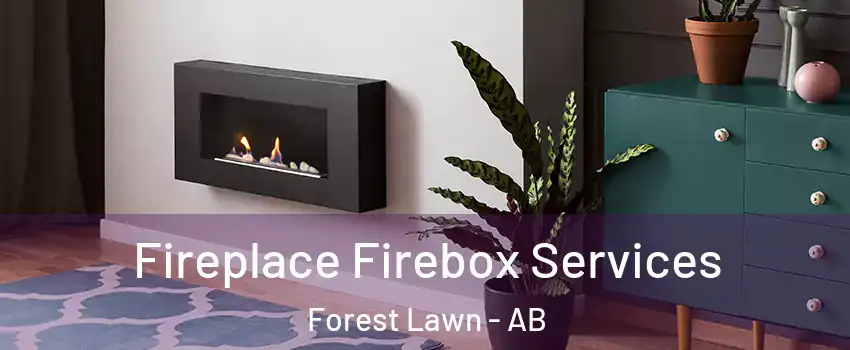  Fireplace Firebox Services Forest Lawn - AB