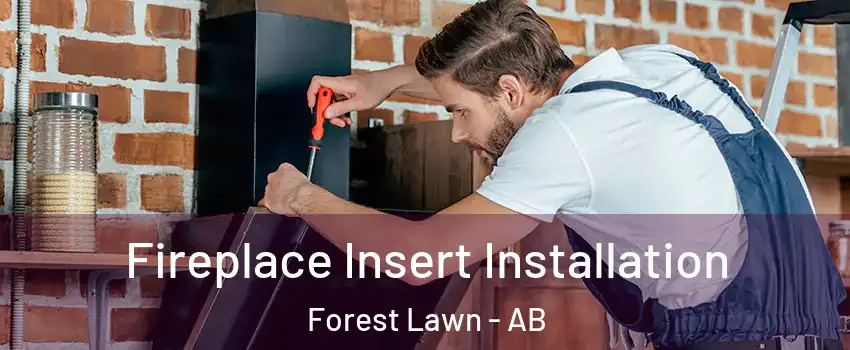  Fireplace Insert Installation Forest Lawn - AB