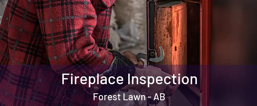  Fireplace Inspection Forest Lawn - AB