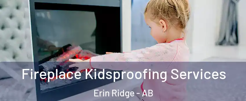  Fireplace Kidsproofing Services Erin Ridge - AB