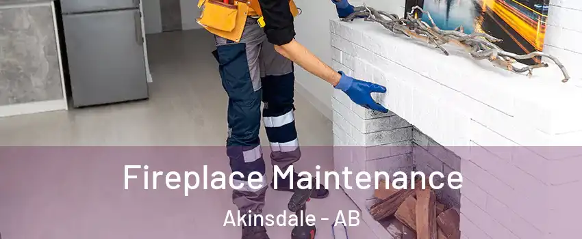  Fireplace Maintenance Akinsdale - AB