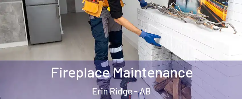  Fireplace Maintenance Erin Ridge - AB