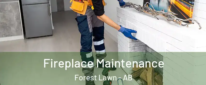  Fireplace Maintenance Forest Lawn - AB