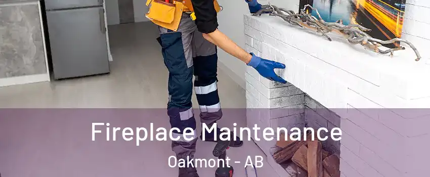  Fireplace Maintenance Oakmont - AB