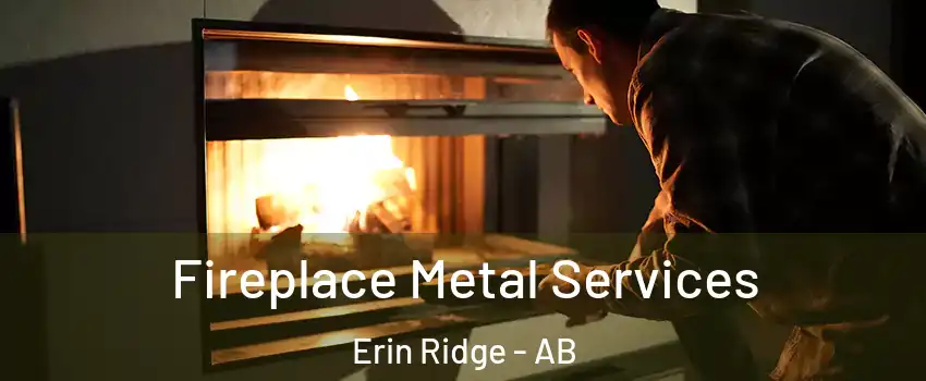  Fireplace Metal Services Erin Ridge - AB