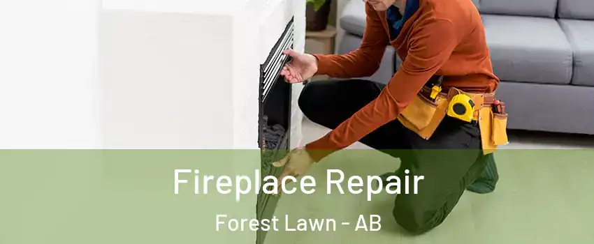  Fireplace Repair Forest Lawn - AB