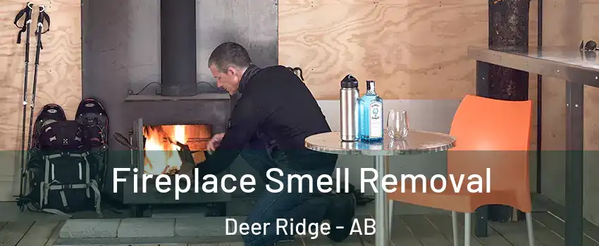  Fireplace Smell Removal Deer Ridge - AB
