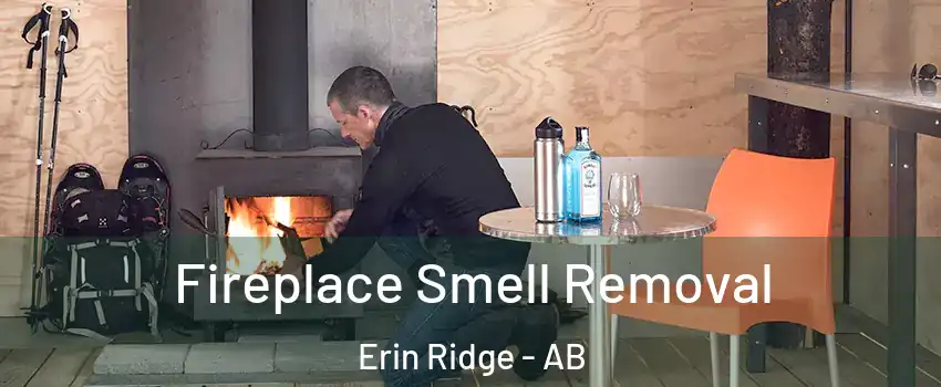  Fireplace Smell Removal Erin Ridge - AB