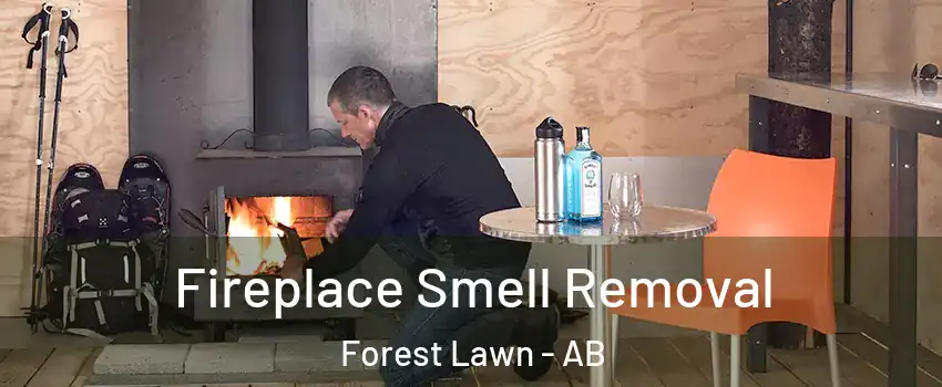  Fireplace Smell Removal Forest Lawn - AB