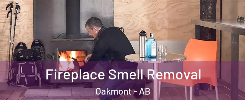  Fireplace Smell Removal Oakmont - AB
