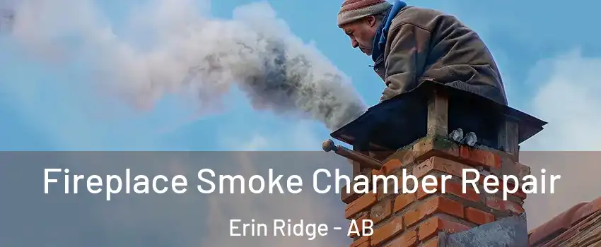  Fireplace Smoke Chamber Repair Erin Ridge - AB