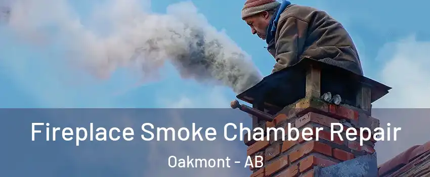  Fireplace Smoke Chamber Repair Oakmont - AB