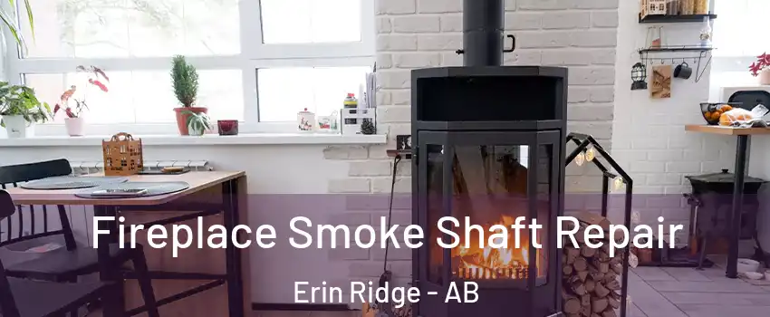  Fireplace Smoke Shaft Repair Erin Ridge - AB